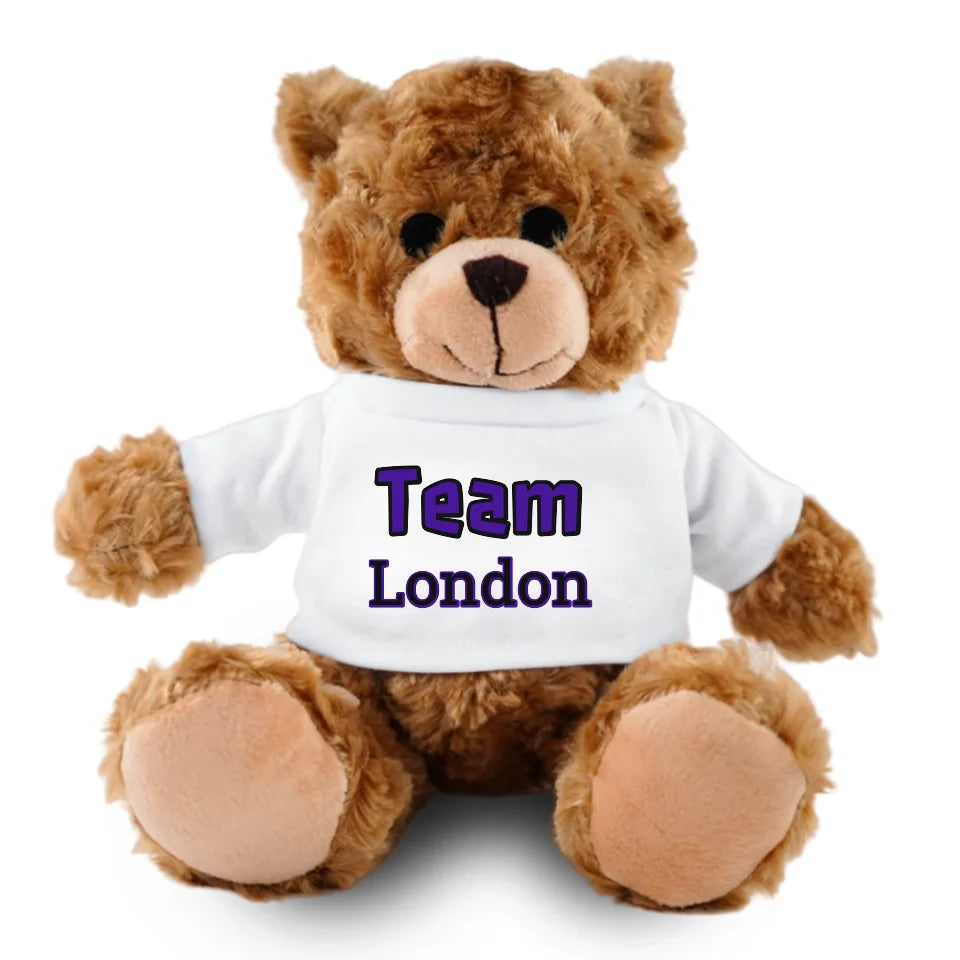 Maskottchen Teddy "TEAM"